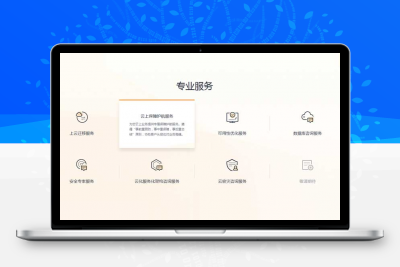 VIP商用 div css专业服务列表卡片悬停特效_DIV CSS代码