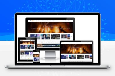 ripro9.0修正升级版+WP两款美化包+稀有插件