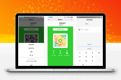 微信支付宝QQ三合一支付码生成源码