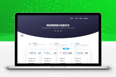 极简大气VIP会员介绍页面HTML单页源码 套餐介绍单页