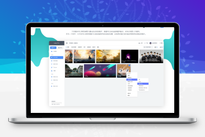 Lsky Pro 企业版兰空图床程序网站PHP源码