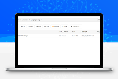 羊了个羊网页版版配置 搭建说明
