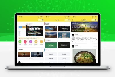 WordPress 网站博客论坛小程序源码