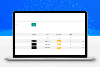 BGS本地局域网视频系统源码