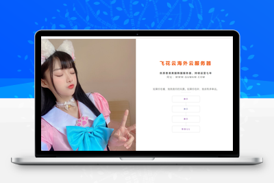 2024一款超级好看的引导页源码