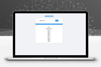 轻量级成绩查询系统源码 可用于其他行业信息查询