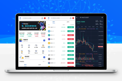 Phemex多语言交易所源码/期权交易+合约交易+新币申购+锁仓挖矿+平台币发行+K线行情控制/前端uniapp编译后+后端PHP